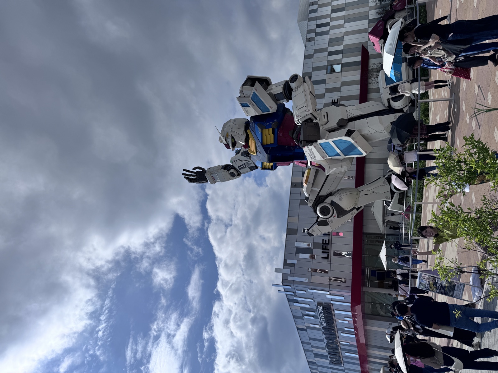 質問に添付された写真
